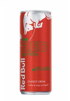 REDBULL PASTEQUE 25CL (Pack 24)