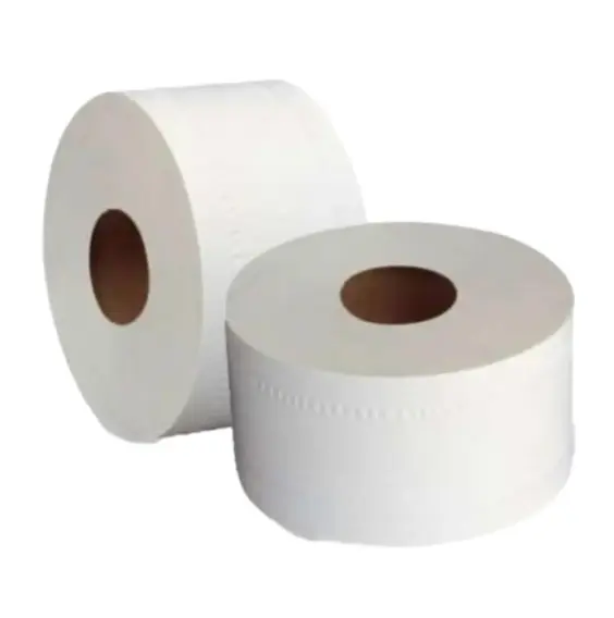 PAPIER TOILETTES 300 M 12 ROULEAUX